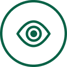 eye icon